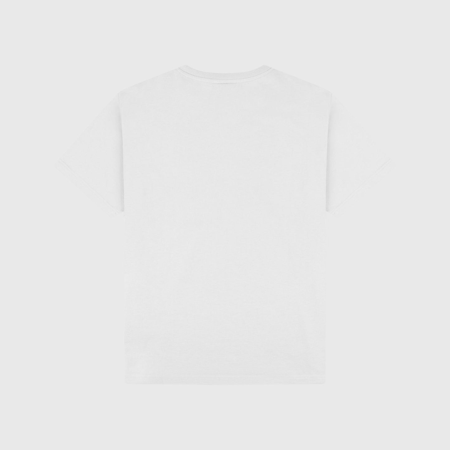 Clásico T-Shirt Regular grey - PERPÈT
